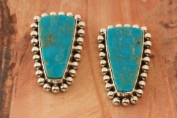 Artie Yellowhorse Genuine Mineral Park Turquoise Sterling Silver Post Earrings